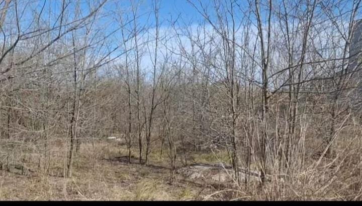 LOTE EN VENTA – RUTA E53 | RÍO CEBALLOS